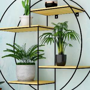 WallMantra WallMantra